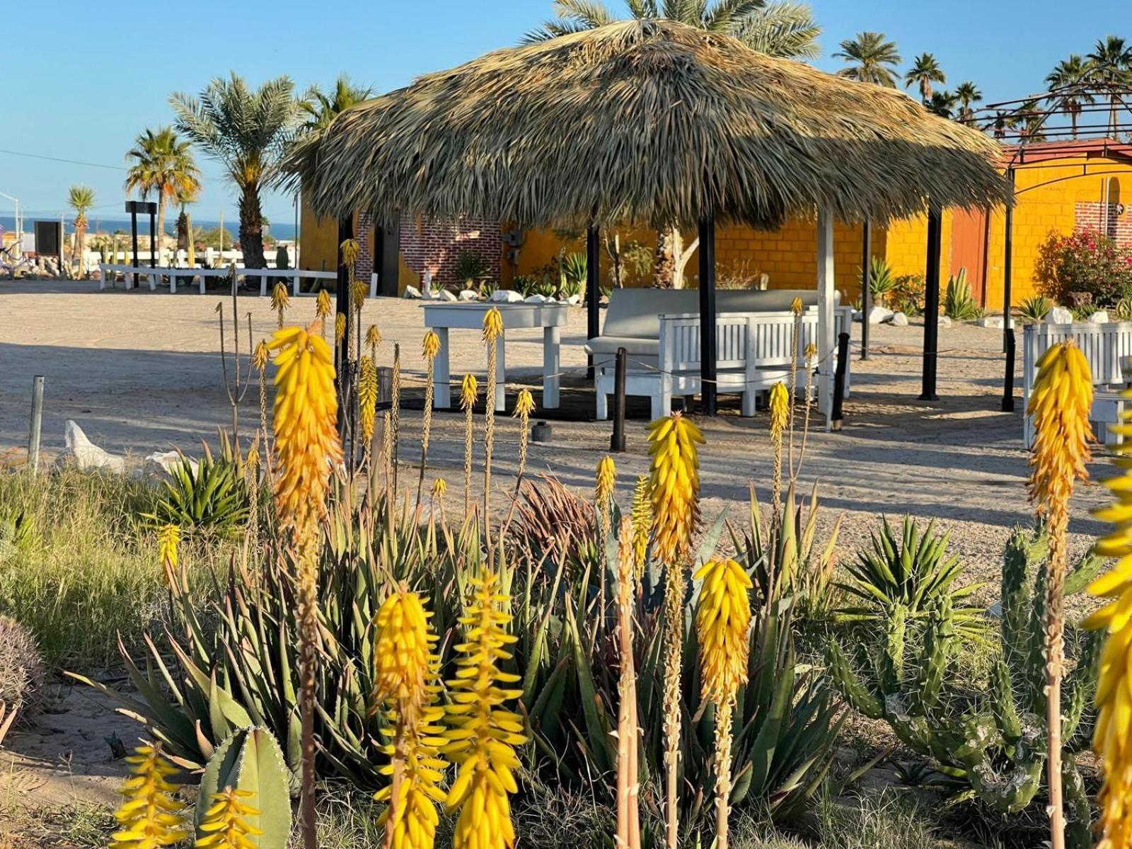 Hotel Las Palmas Σαν Φελίπε Εξωτερικό φωτογραφία