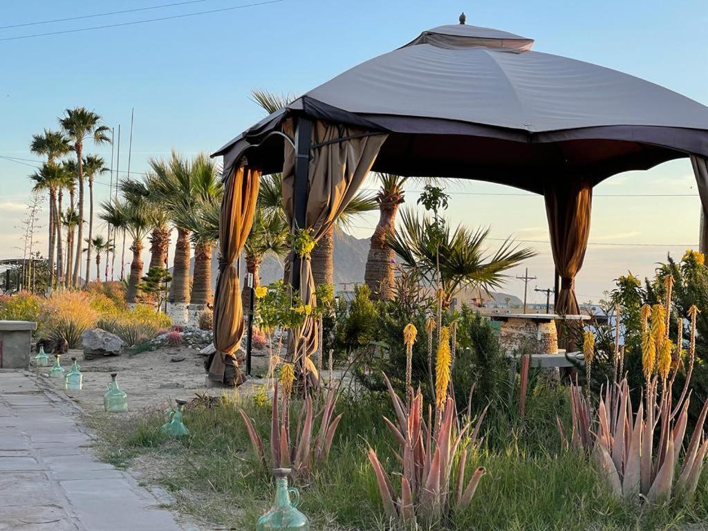 Hotel Las Palmas Σαν Φελίπε Εξωτερικό φωτογραφία