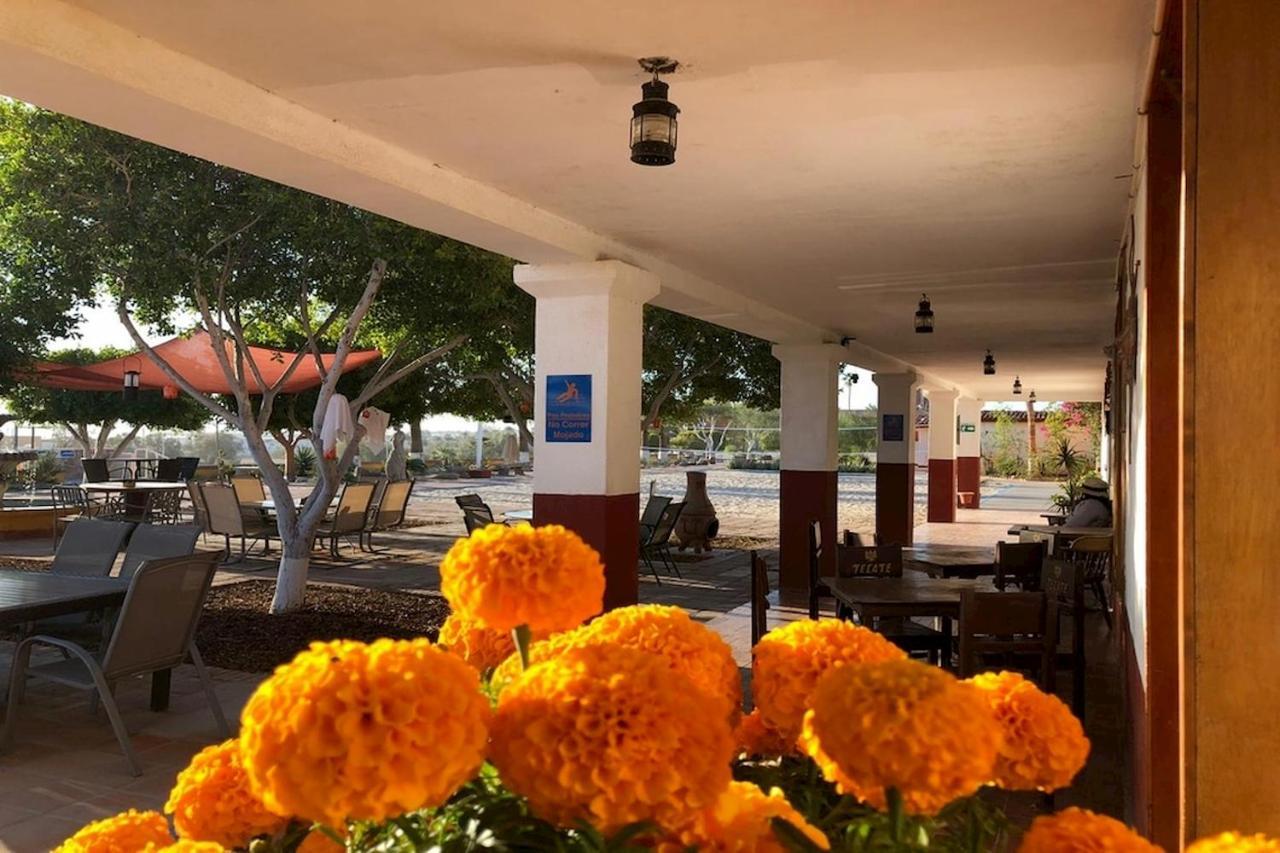 Hotel Las Palmas Σαν Φελίπε Εξωτερικό φωτογραφία