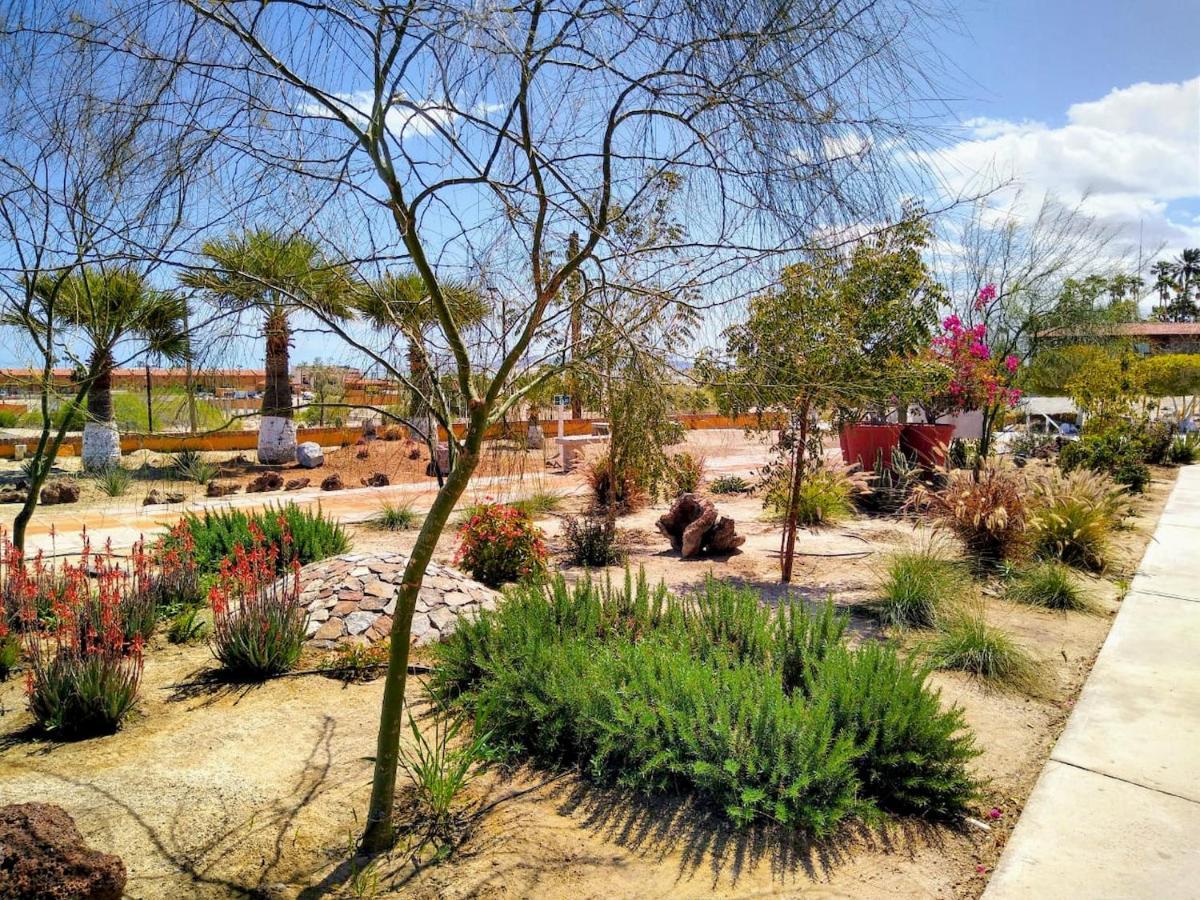 Hotel Las Palmas Σαν Φελίπε Εξωτερικό φωτογραφία